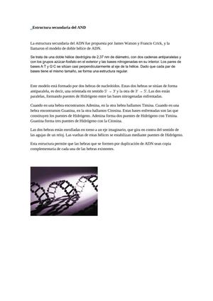Estructura del adn
