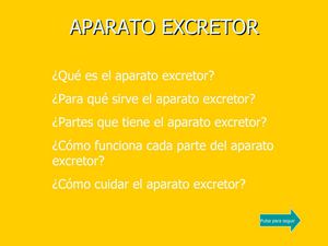 APARATO EXCRETOR