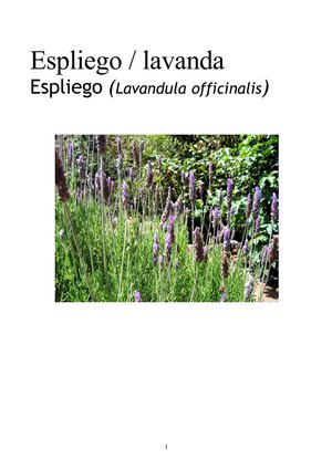 Espliego Lavanda dossier