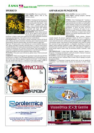 la Piazza maggio giugno 2011 Sammichele