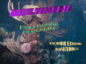 Evaluacion Sensorial, Conceptos