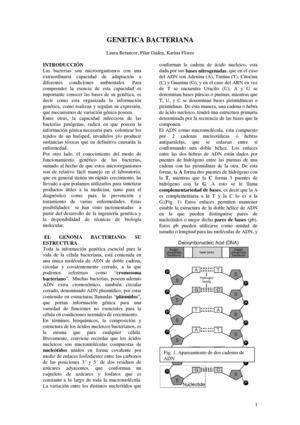 Genética bacteriana