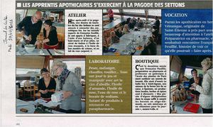 La Pagode : animations estivales - atelier dermatologique