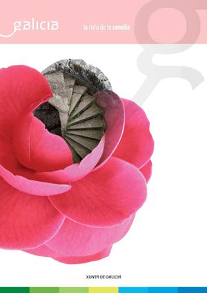 La ruta de la Camelia