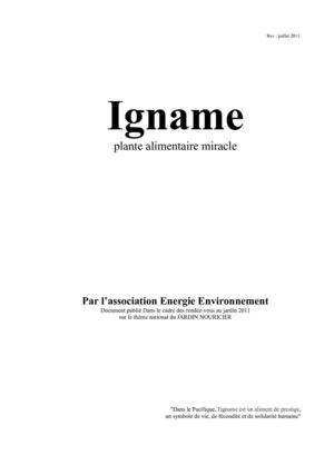 IGNAME - plante alimentaire miracle