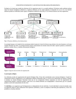 CONCEPTOS ECOLÓGICOS Y LOS NIVELES DE ORGANIZACIÓN BIOLÓGICA