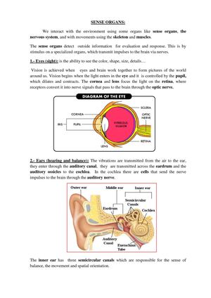 SENSE ORGANS. English
