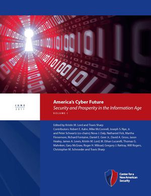 America's Cyber Future