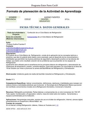Proyecto Final Audino