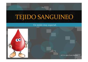 Tejido Sanguíneo