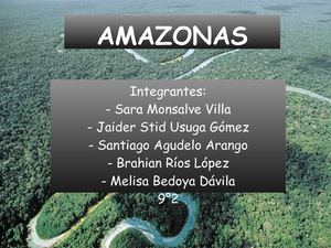 REGIÓN AMAZÓNICA 