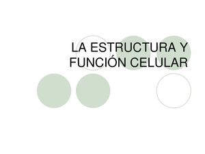 La celula y sus organelas