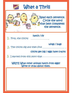 Activity English (14)