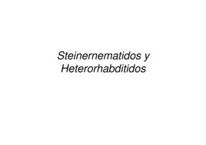 Nematodos 2 Steinernematidos y Heterorhabditidos
