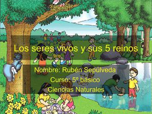 Reinos animales introduccion