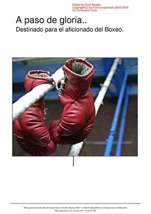Boxeo de linea