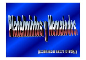 Platelmintos y Nemátodos