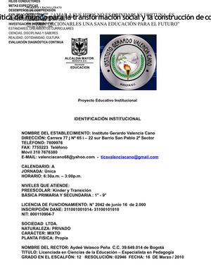 P.E.I. REVISADO ULTIMO rrr