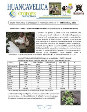 Dirección Regional Agraria Huancavelica 1