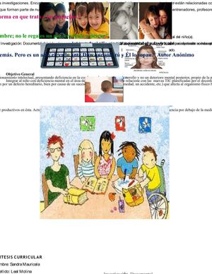 instrumento documental. integrar el retraso mental al aula virtual