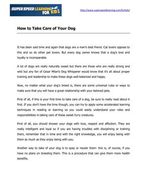 How to take care of your dog 