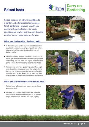 Raised beds - Carry on Gardening