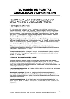 El jardín de las plantas aromáticas y medicinales