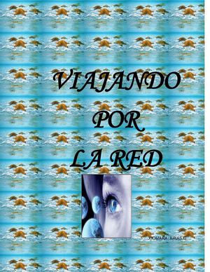VIAJANDO POR LA RED