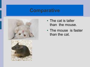 Comparative adjectives 6th course