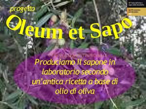 Oleum et Sapo: produciamo il sapone a scuola.