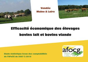 Agriculture vendée et maine et loire : afocg, étude économique sur les élevages laitiers et viande