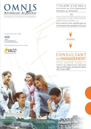 Devenez Consultant en Management