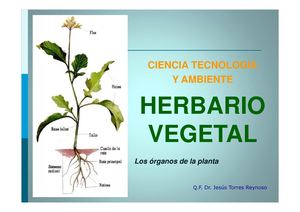 Herbario Vegetal