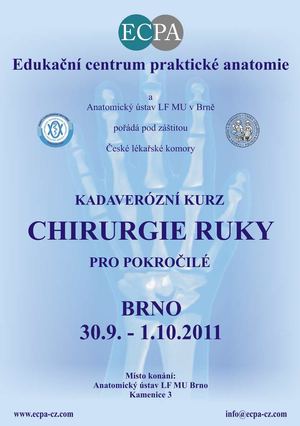 Ruka pokročilá 2011