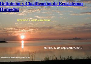 DEFINICIÓN Y CLASIFICACIÓN ECOSISTEMAS HUMEDOS (según distribución de Hábitats de Interés Comunitario). Sept, 2010