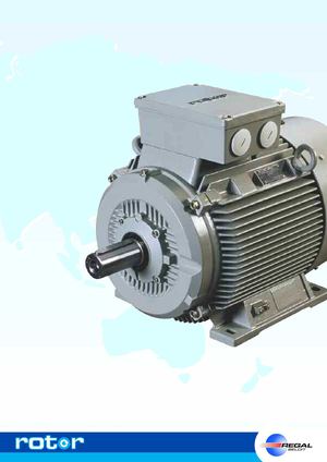 ROTOR documentation moteur IE2 2012 nl