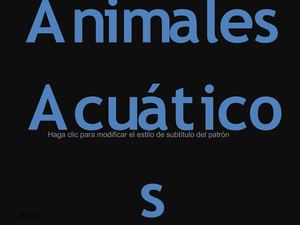 animales acuaticos