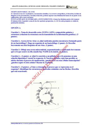 BIOLOGIA-SELECTIVIDAD-EXAMEN 5 RESUELTO-ARAGON-www.SIGLO21X.blogspot.com