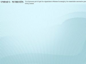 Sistema digestivo MAPA CONCEPTUAL. ESPAÑOL