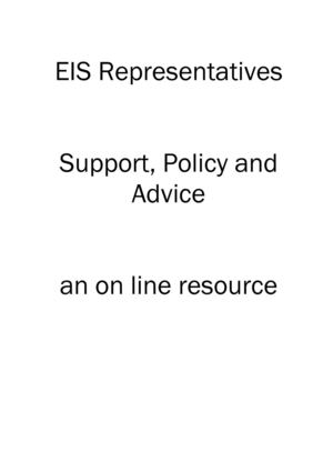 Calaméo - EIS Reps Handbook