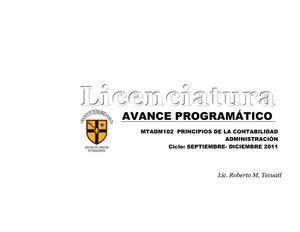 Avance Programático Principios de la contabilidad