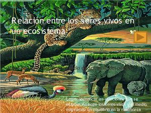 Relación entre los seres vivos en un ecosistema
