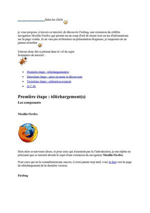 TUTORIEL DE FIREBUG
