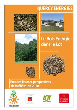 Bois énergie : état des lieux et perspectives de la filière en 2010