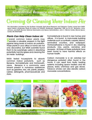 Plants Can Help Clean Indoor Air