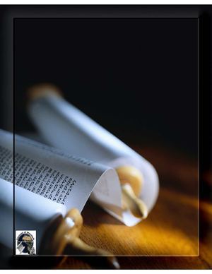 Torah Rediscovered - Ariel Berkowitz