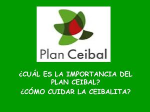 USOS Y CUIDADOS DE LA XO.