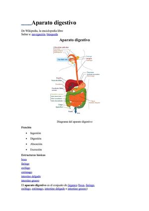 aparato digestivo