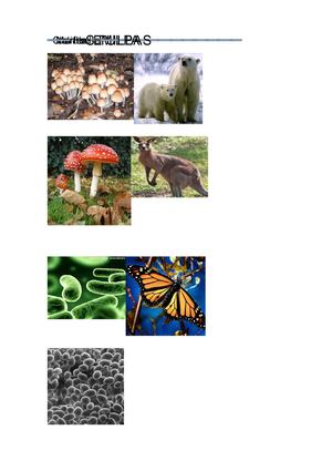 Diversidad Biológica