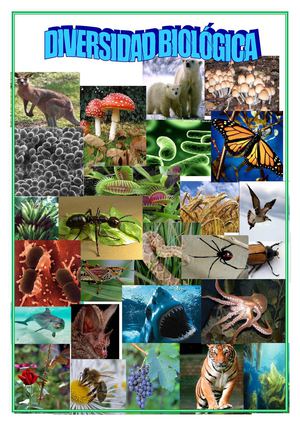 DIVERSIDAD BIÓLOGICA